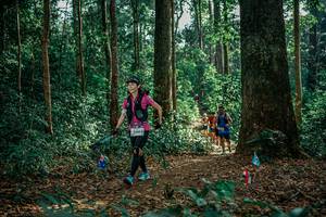 BIB: 
                            <button type="button" onclick="openModal(26132266)" class="btn btn-primary btn-sm float-right btn-popup" data-toggle="modal" data-target=".modal-high-quality">
                        <i class="fas fa-shopping-cart"></i> Add to Cart
                    </button>
                                            <button type="button" onclick="isThisMe(26132266, true)" class="btn btn-success btn-sm float-right btn-popup btn-isme hidden" data-toggle="tooltip" data-placement="bottom" title="นี่คือรูปของคุณใช่ไหม คลิกที่นี่เพื่อเอาเข้าอัลบั้ม">
                        <i class="fas fa-plus"></i> Add to album
                    </button>
                    <button type="button" onclick="isThisMe(26132266, false)" class="btn btn-warning btn-sm float-right btn-popup btn-isnotme hidden">
                        <i class="fas fa-ban"></i> Remove from album
                    </button>